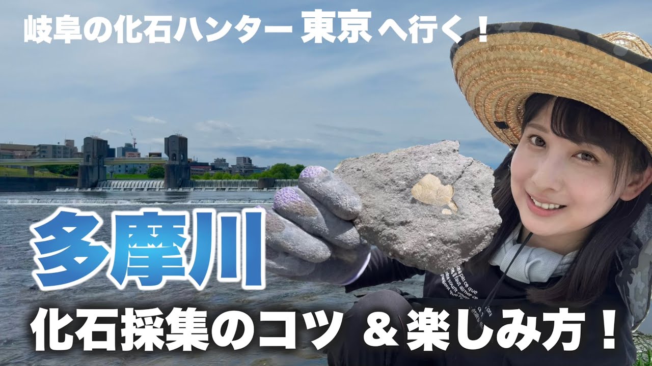 【化石採集】東京多摩川で化石掘り！化石の種類や発掘方法をご紹介！