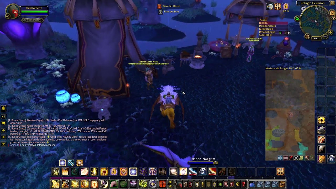 World of Warcraft: Mists of Pandaria. Learning and leveling my Paladin Tank