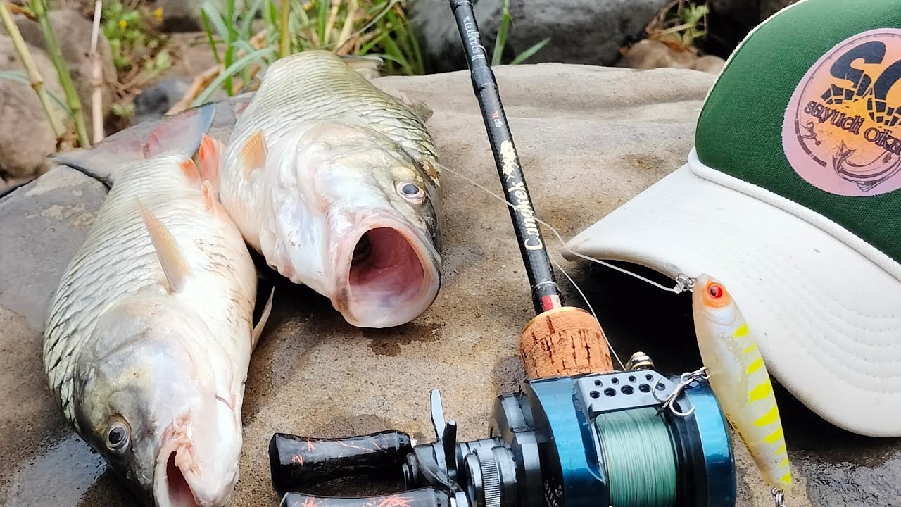 LUAR BIASA💥Ketika Ketemu Spot Baru🌟 Mancing Casting wadaslintang WONOSOBO