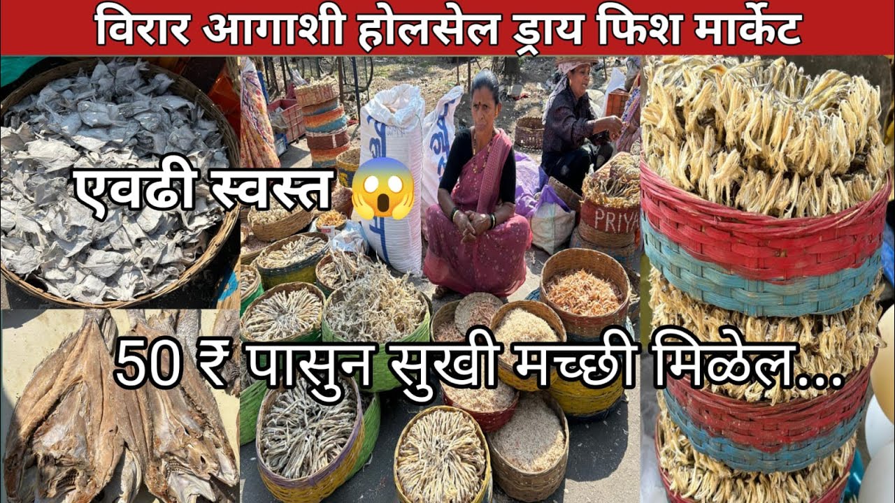 मुंबई ची स्वस्त होलसेल सुखी मच्छी मार्केट | Virar Agashi Wholesale Dry Fish Market | Dry Fish Market