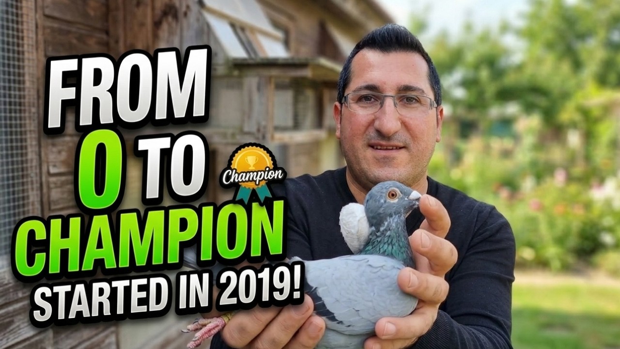 Он начал в 2019 году… Теперь он чемпион | История Ахмета Четина как голубенода