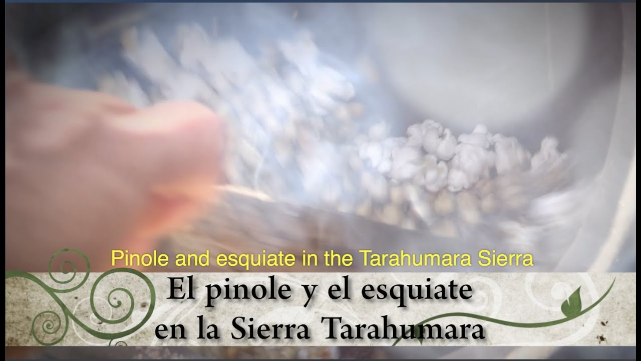 Pinole and esquiate in the Tarahumara Sierra