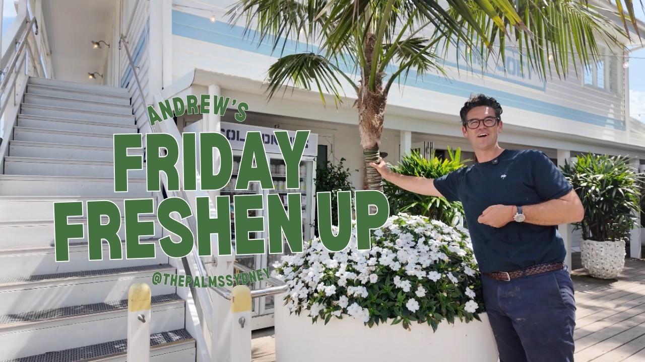 Andrews Friday Freshen Up || The Palms, The Joey, a birds nest and some plant tips.