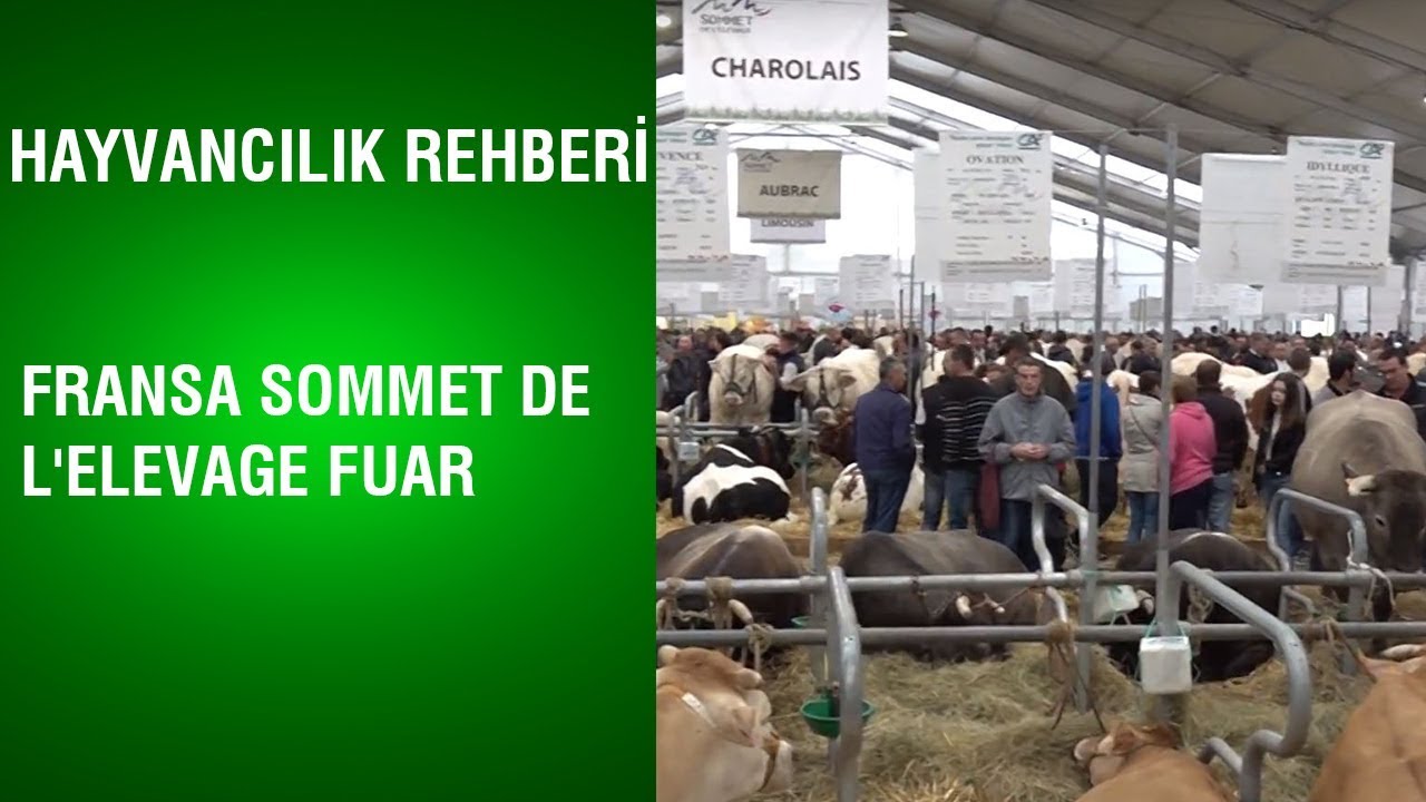 @BereketTV    Hayvancılık Rehberi - Fransa Sommet De L'elevage Fuarı / 3.Bölüm