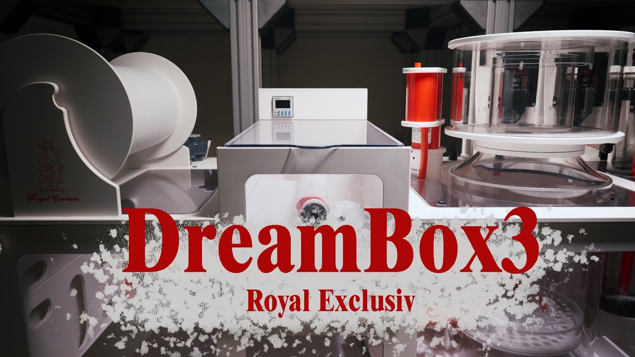Обзор сампа Royal Exclusiv dreambox 3 custom для морского аквариума
