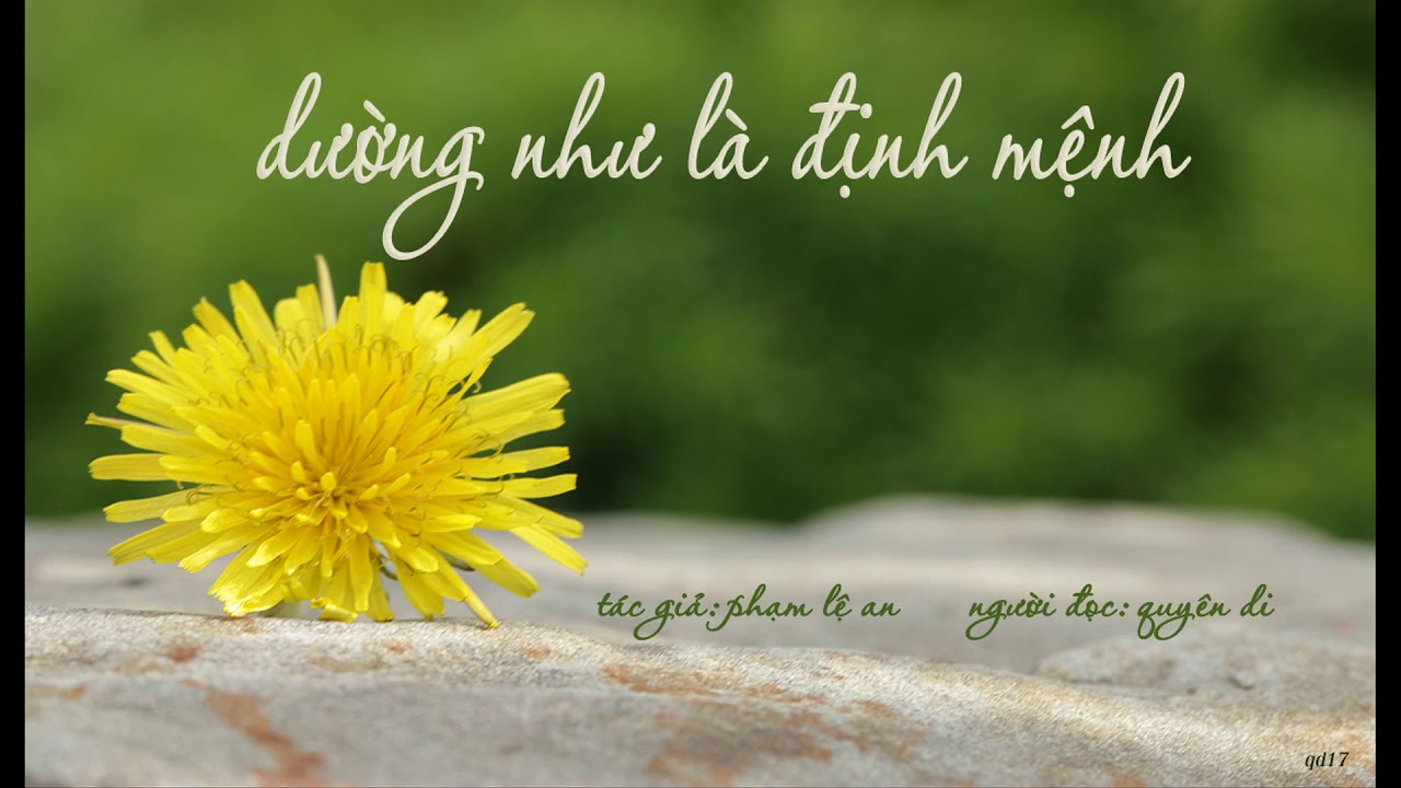 Dường Như Là Định Mệnh - Phạm Lệ An
