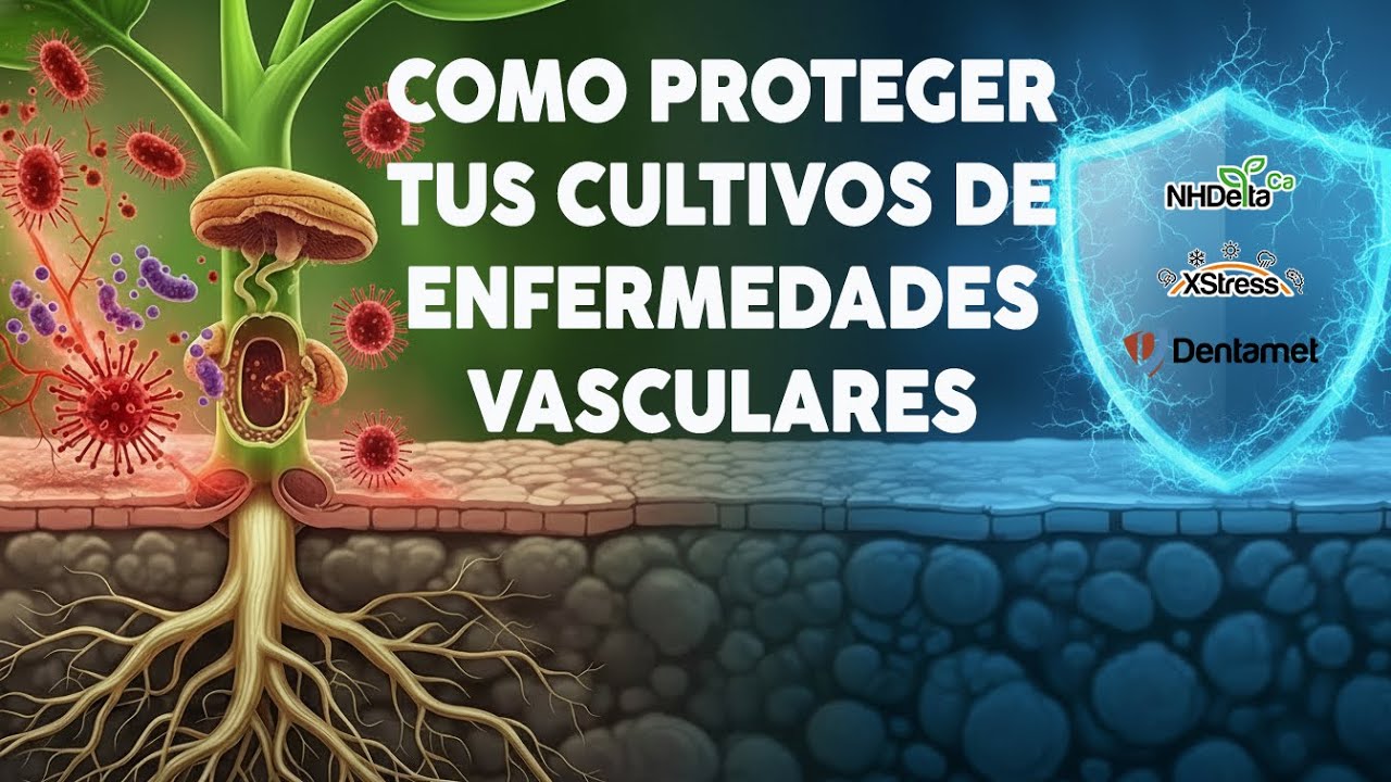 Cultivos más fuertes desde dentro: la solución Ecoculture contra el estrés y las enfermedades