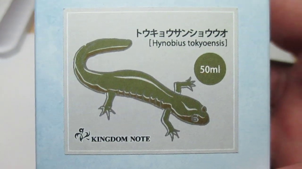 Sailor  kingdom note   Hynobius Tokyoensis A Look-see-poo )