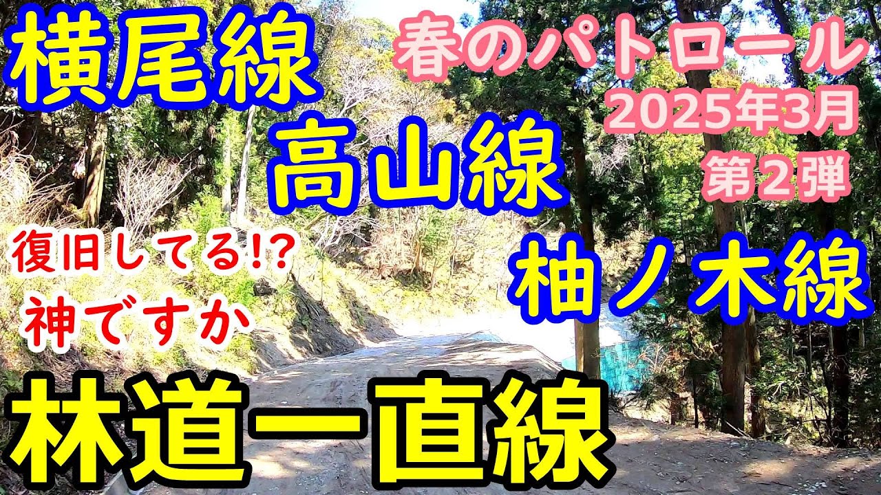【林道一直線】　千葉　林道　横尾線　高山線　柚ノ木線　パトロール　2025年3月