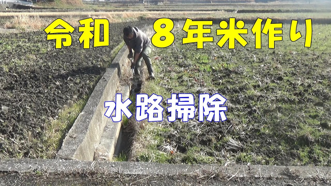 【冬作業】水路の掃除【倍速】