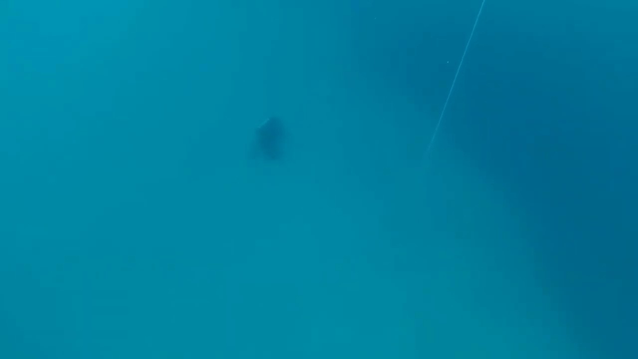 First freedive at 20m deep 🤿 Xt Diving Pteryx Constant weights