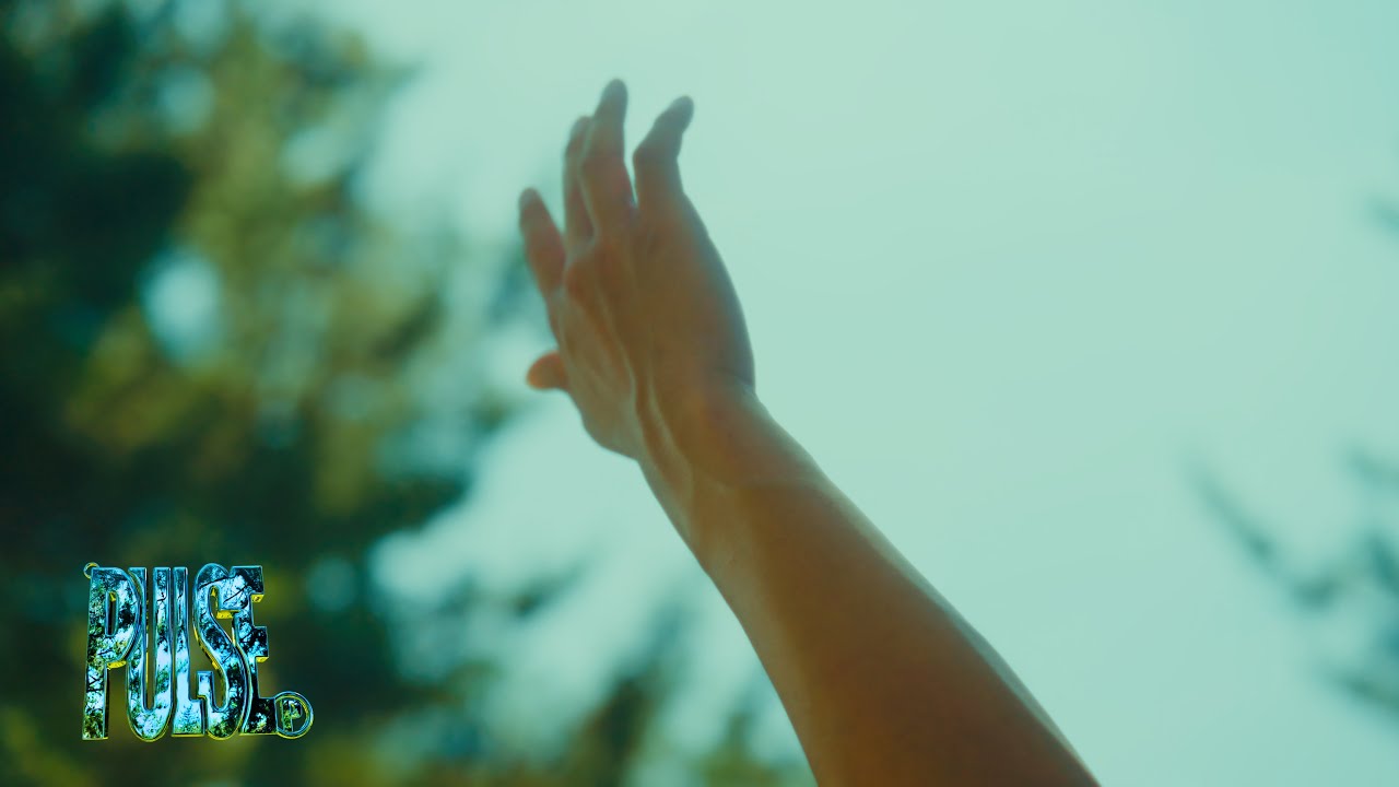D - KARAT & Lotus age - Everyday one