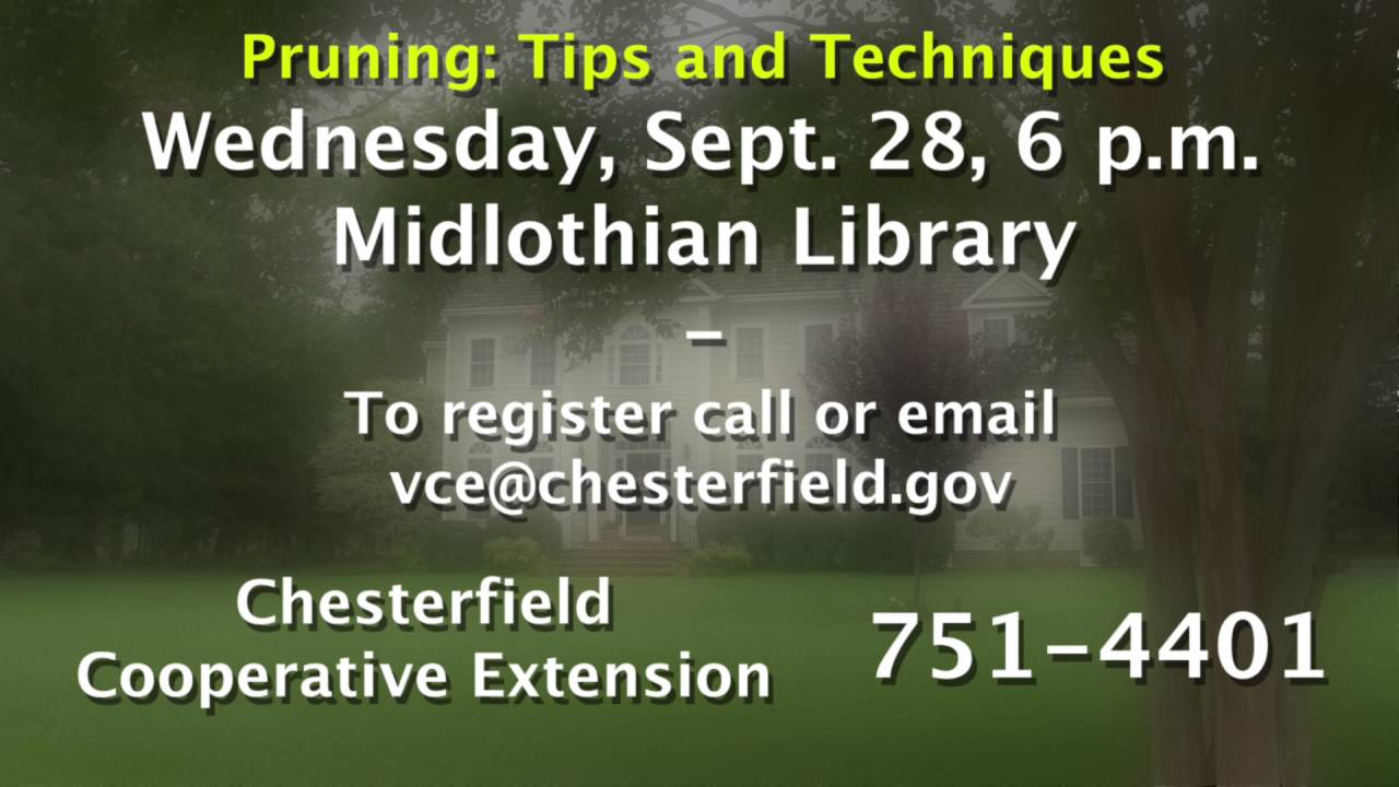 Pruning: Tips and Techniques Seminar
