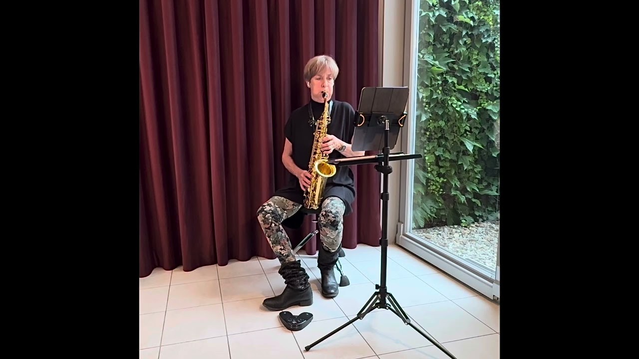 All The Way-Saxophone Cover 