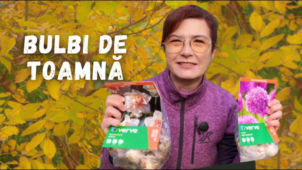 Cum să cumperi IEFTIN și STRATEGIC bulbii de toamnă