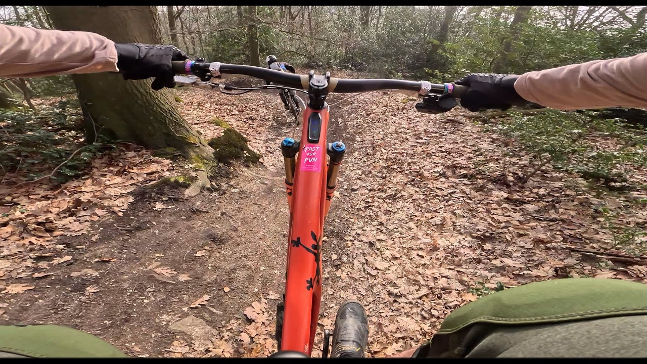 STS - PinkLady mit Bernd