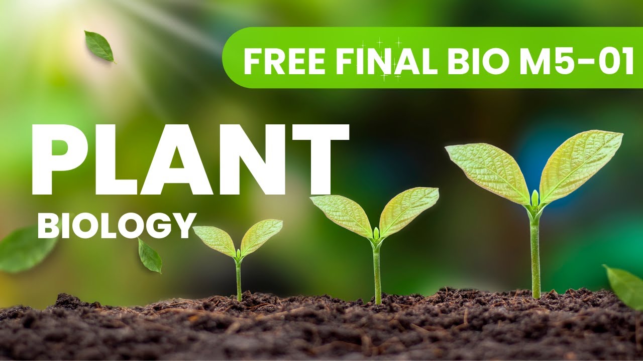 ติวฟรีปลายภาคมอห้าเทอมหนึ่ง Photosynthe (การสังเคราะห์ด้วยแสง)