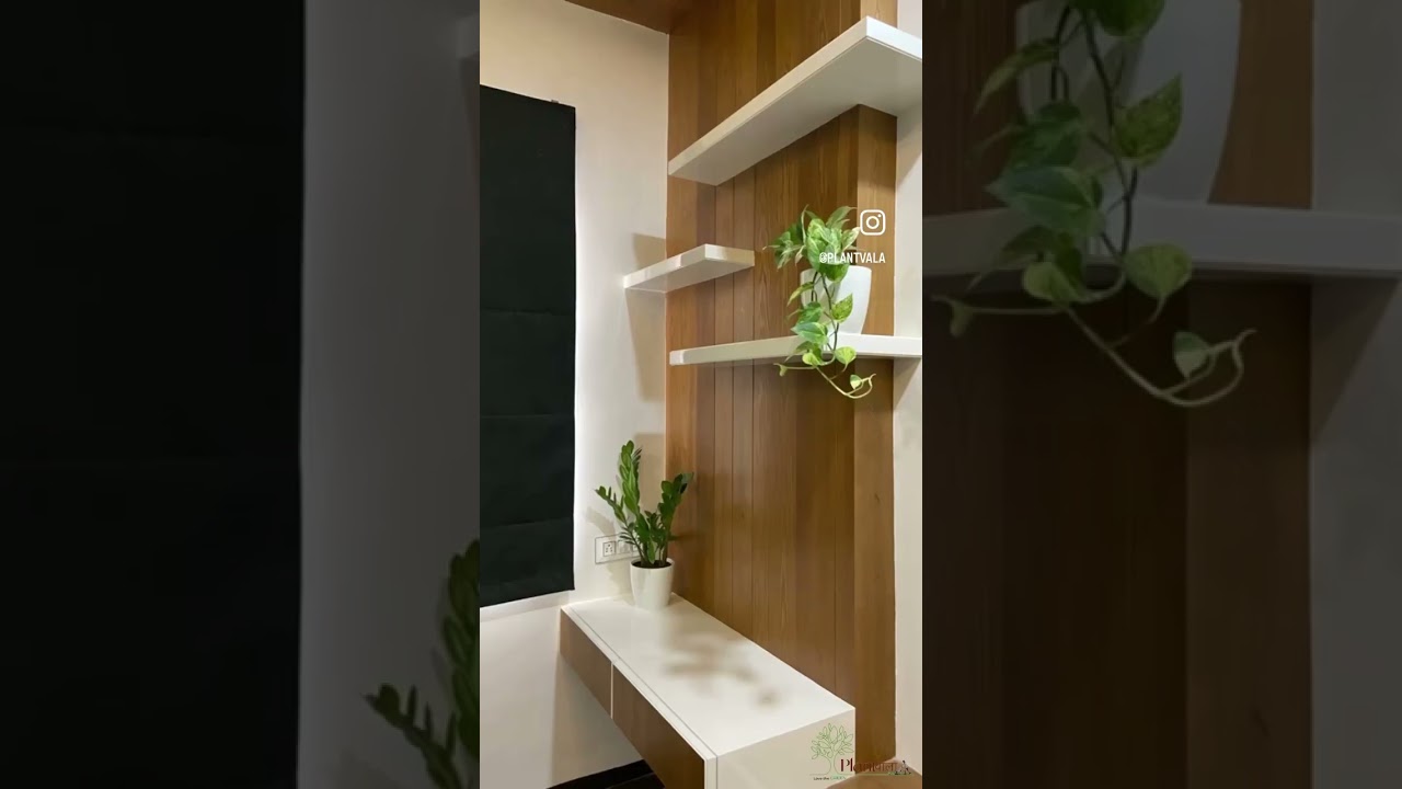 Indoor plant planning by @plantvala #indore #succulents #plantinterior