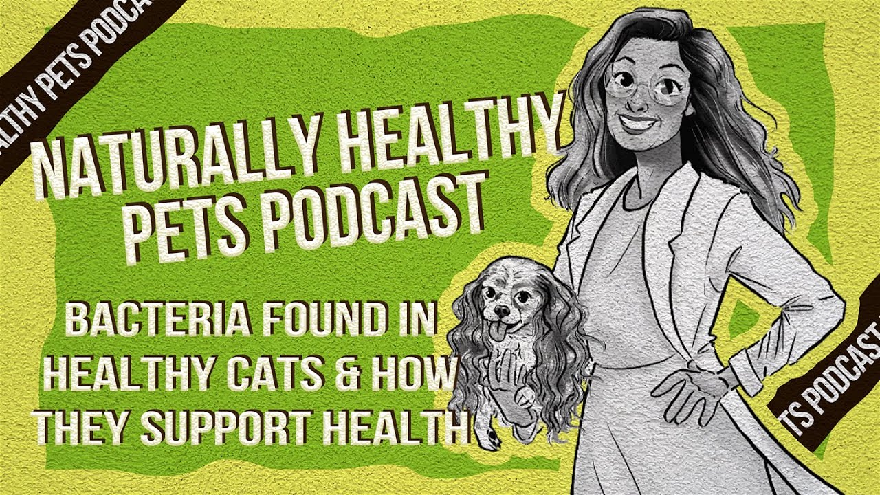 Bacteria Found in Healthy Cats & How They Support Health | NHP Podcast Ep 13 | Dr. Judy & Holly Ganz