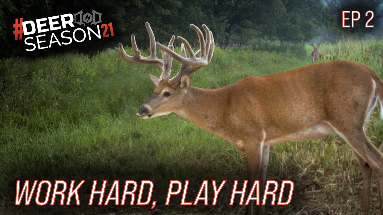 How Mark Drury Prepares For Deer Season, Top Summer Bucks | Deer Season 21