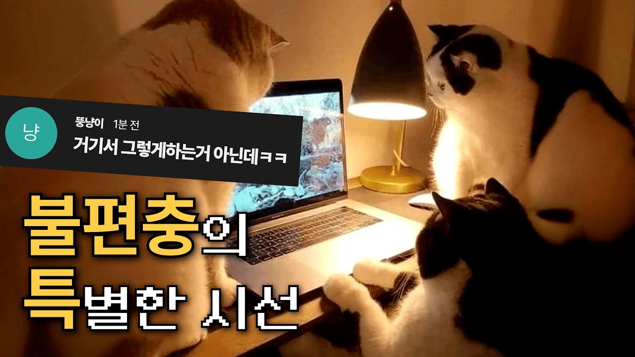 재능의 발견