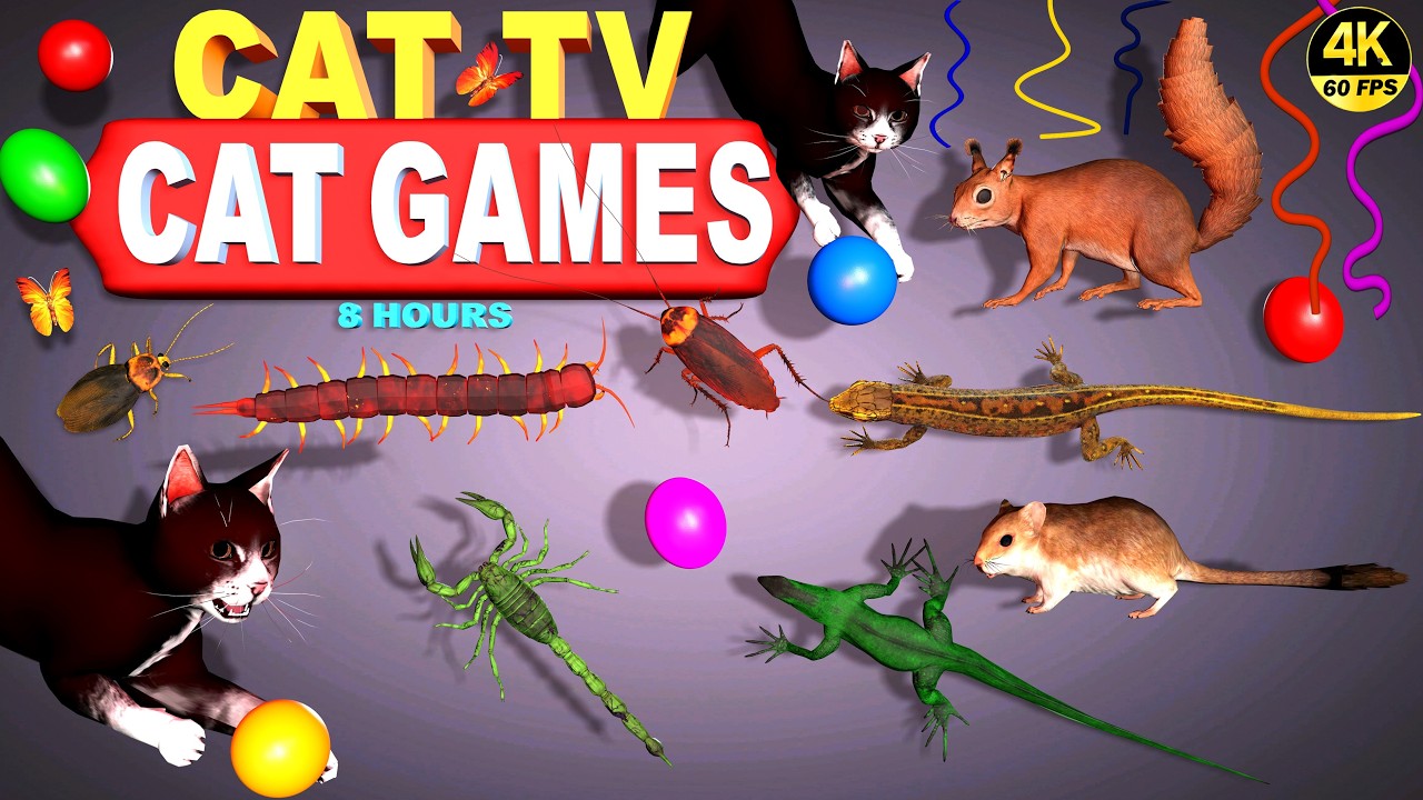 CAT GAMES | CAT TV FOR CATS TO WATCH ULTIMATE MIX VIDEOS FOR FELINE FRIENDS PETS  😻 4K 8 HOURS