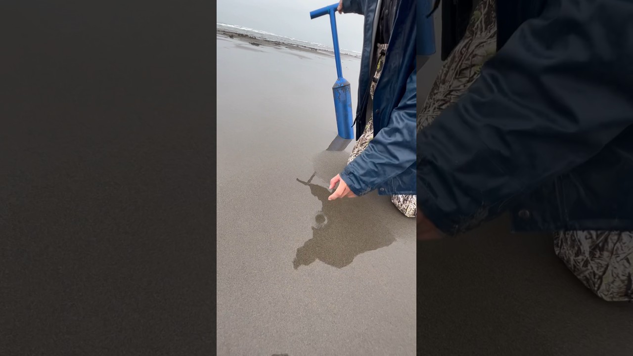 ОГРОМНОЕ отверстие для бритвы