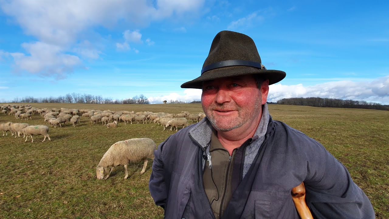 Vorgestellt: Wanderschäfer Johannes Smietana