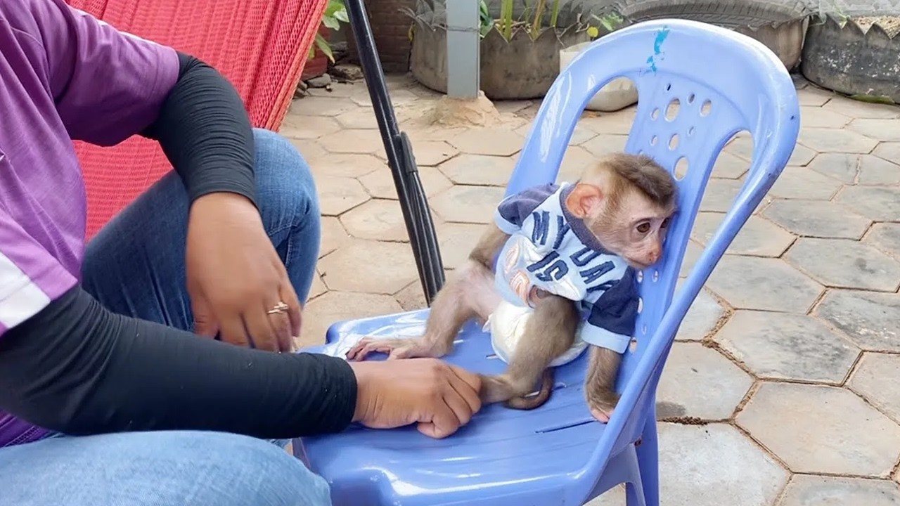 DAM Is So Sadly With Mom Catch His Feet Not Permit To Get Down Play With Petter