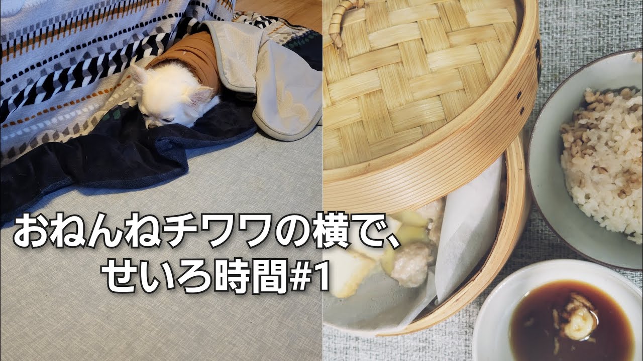 【無音】おねんねチワワの横で、せいろ時間#1#チワワ #せいろ蒸し#蒸し料理#おうちごはん#昼ごはん#丁寧な暮らし