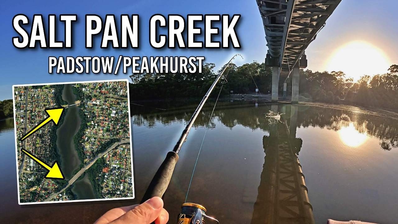 What's lurking in Salt Pan Creek, Georges River?