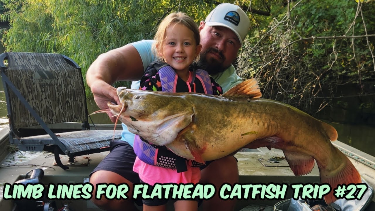 Limb Lines For Flathead Catfish On The Altamaha River Trip #27
