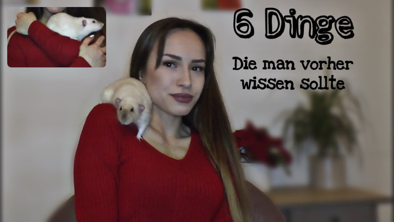 6 Dinge, die man vorher wissen sollte ｜Ratflix