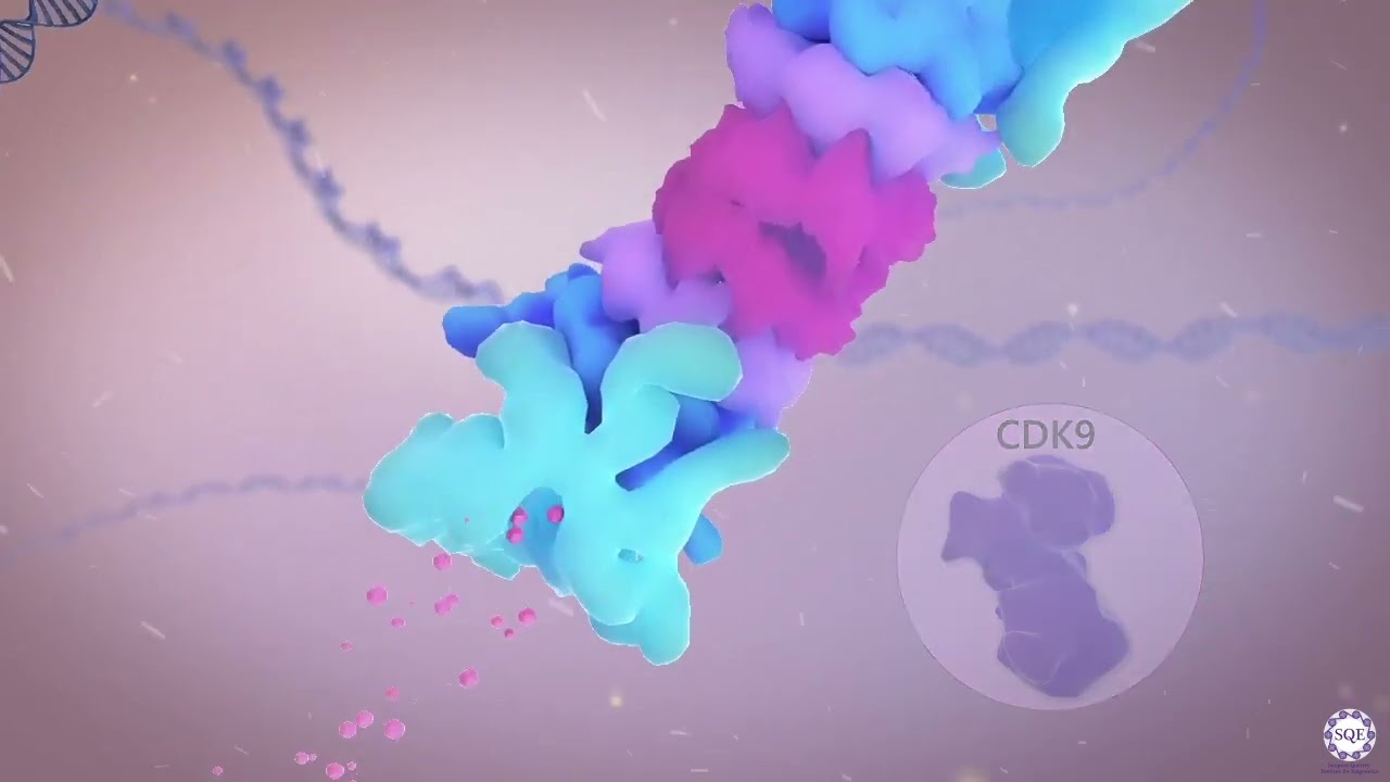 Licensing productive transcription through RNA polymerase II stability - Narrated by Debbie Irwin