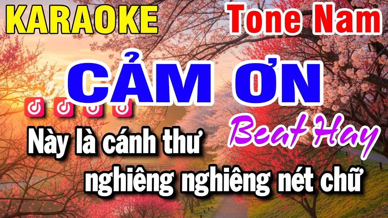 Karaoke Cảm Ơn Nhạc Sống Tone Nam 2026 | Beat Hay Huỳnh Lê
