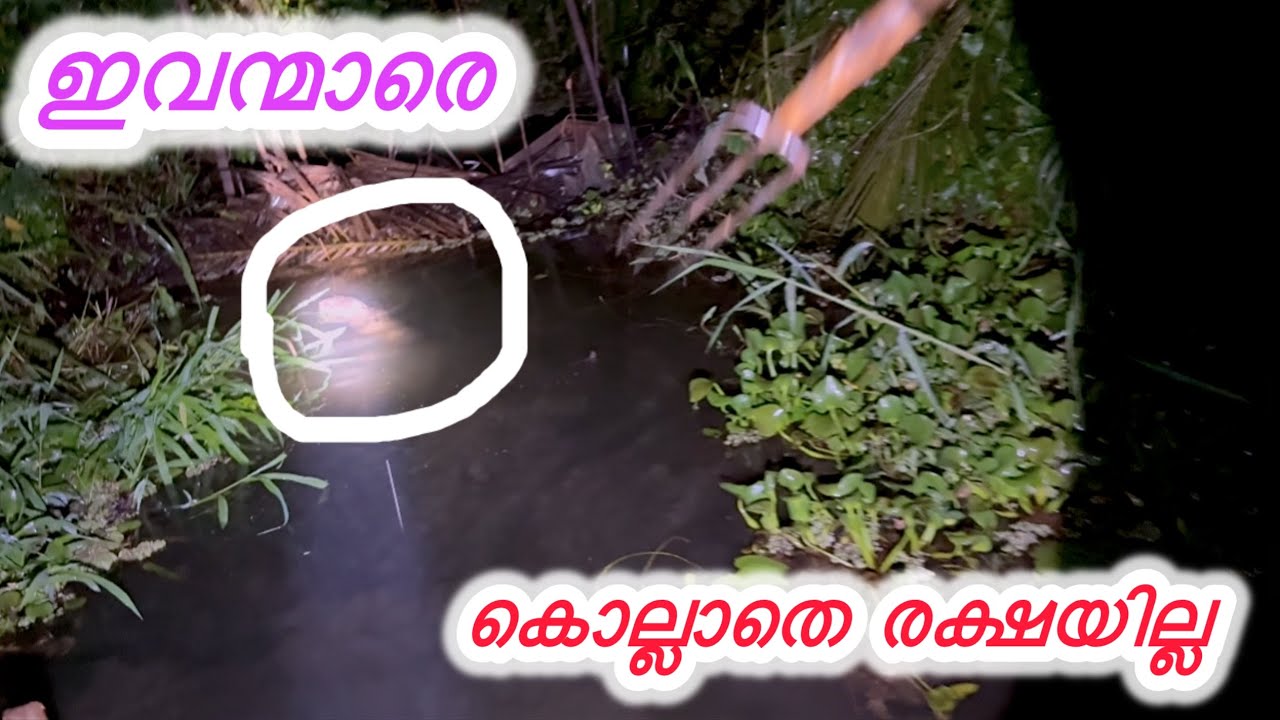ഇവന്മാരെ കൊന്നില്ലെങ്കിൽ ഇനി നമുക്ക് ജീവിക്കാൻ പറ്റില്ല