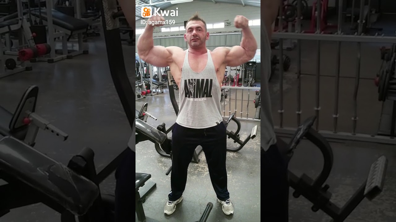 Treino de muscula&ccedil;&atilde;o com.bisotto