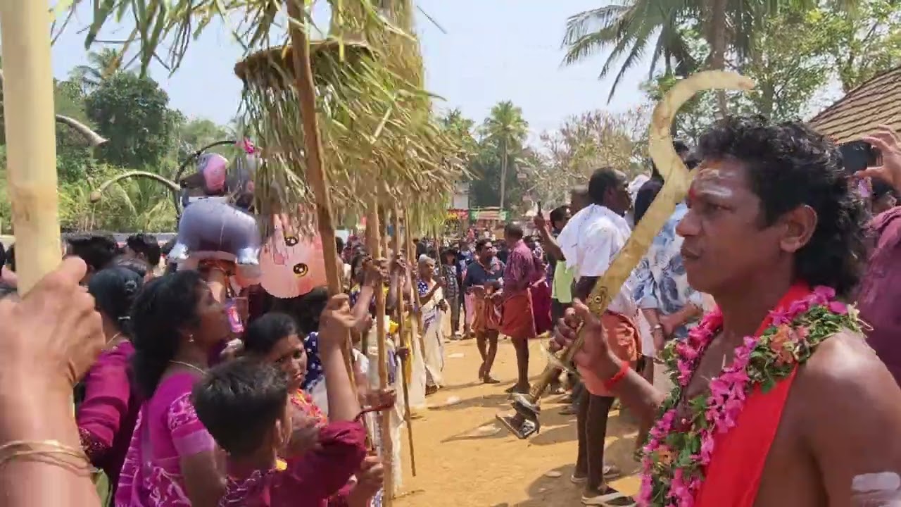 മേളം കുടികൾ വളരട്ടെ. Plz സബ്സ്ക്രൈബ്