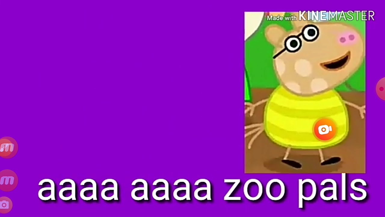 I accidentally zoopals