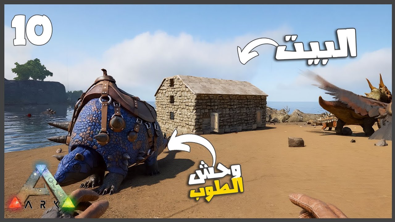  روضت القنفد وجمعت بيه حجاره كتير وبنيت  البيت اخيرا ❤️❤️ #10 || ARK Survival 🦖 أرك سرفايفل ||