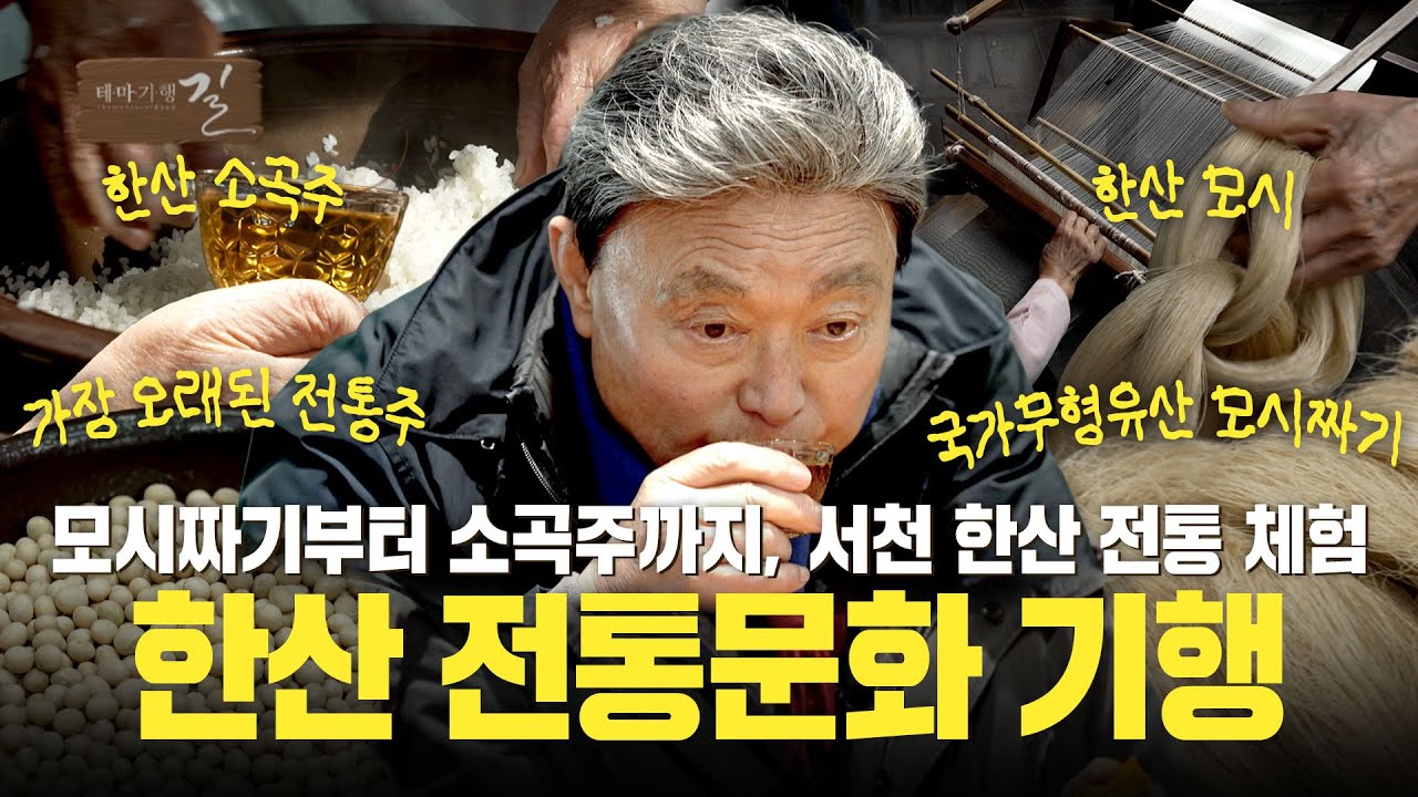모시짜기부터 소곡주까지, 서천 한산 전통 체험! 한산 전통문화 기행 | 테마기행 길 | 26년 1월 30일