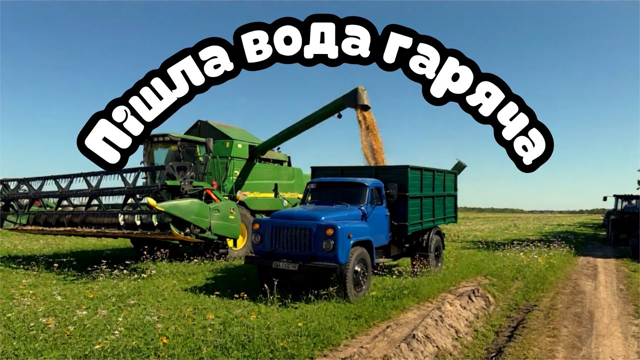 Соя RUBI,кучерява по 53 тис😱точна врожайніст☝️очікування-реальність🤟