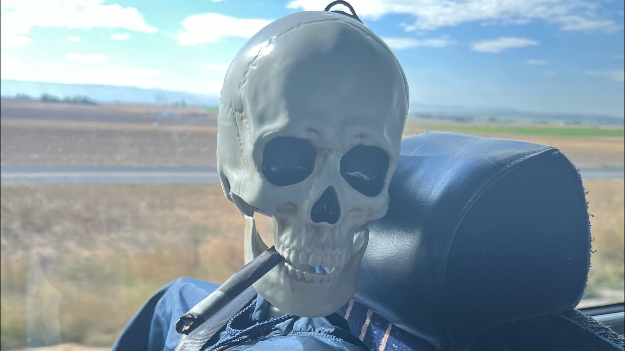 Just some halloween shenanigans