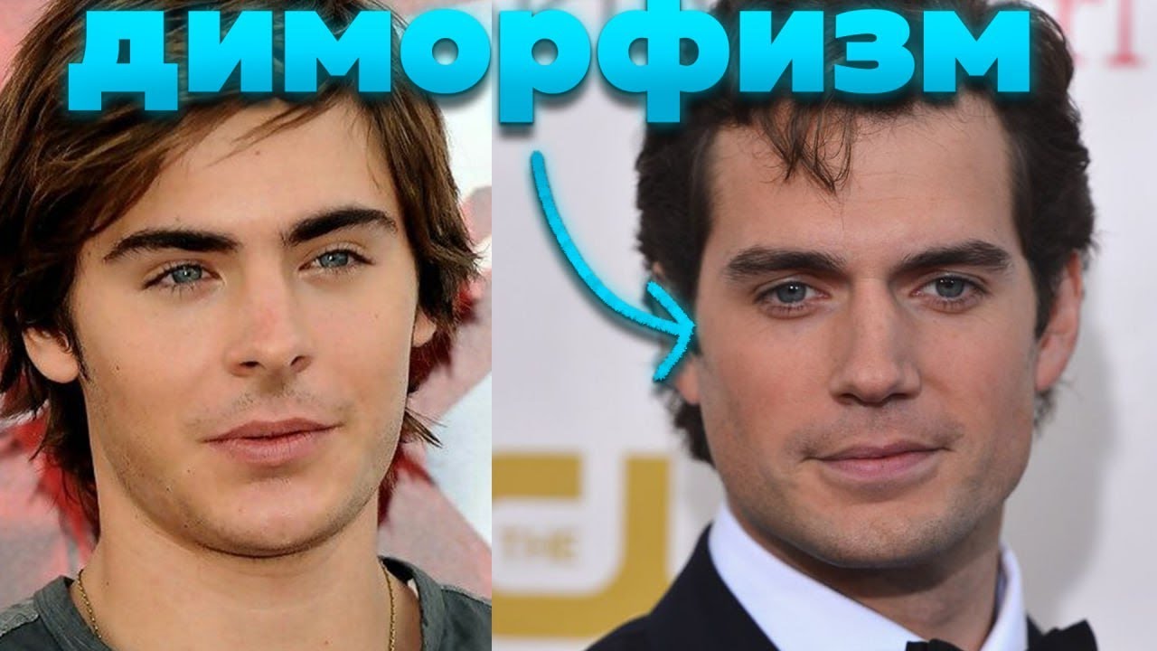 Что делает лица маскулинными? (Диморфизм)