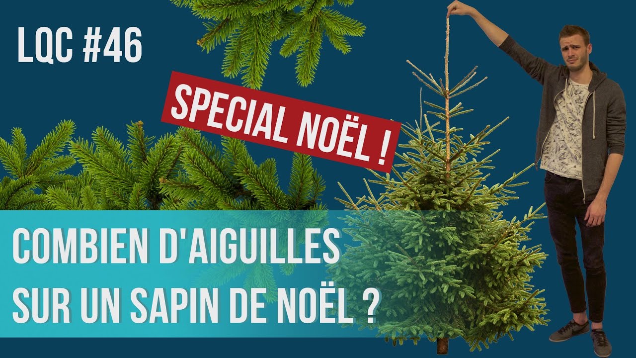 Combien d'aiguilles sur un sapin de Noël ? LQC #46