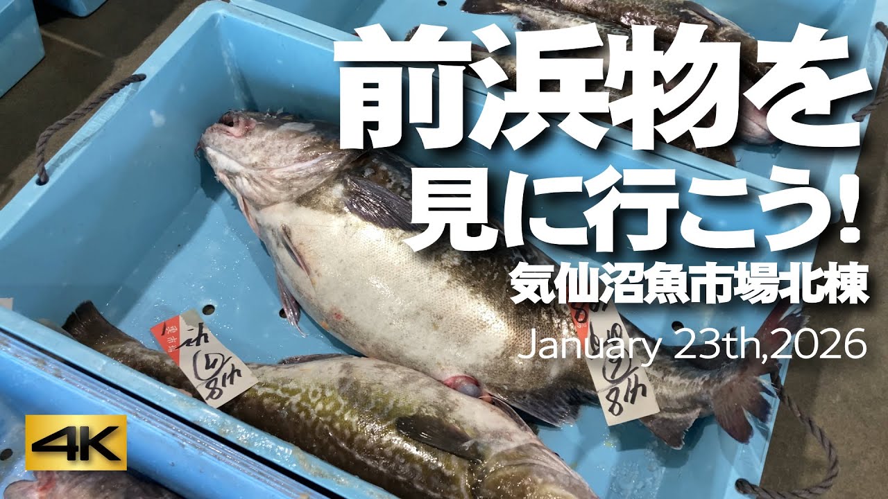 【前浜物を見に行こう！】気仙沼魚市場北棟　January 23th,2026