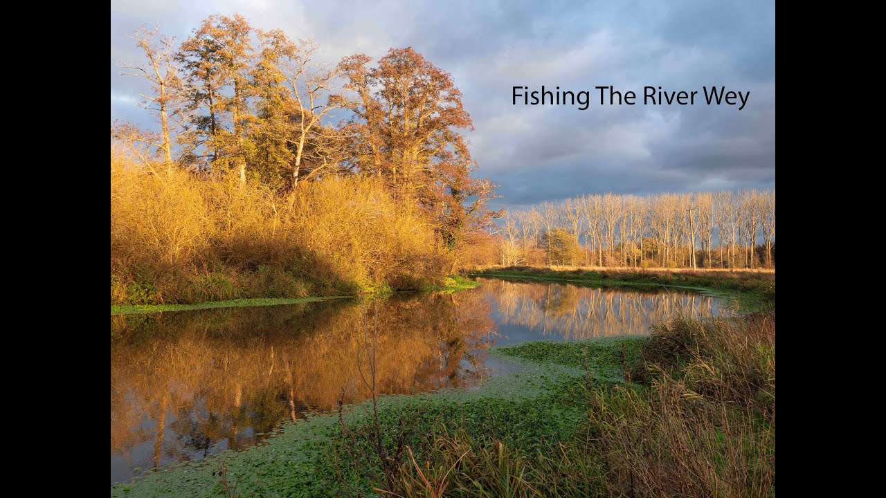 Fishing The River Wey