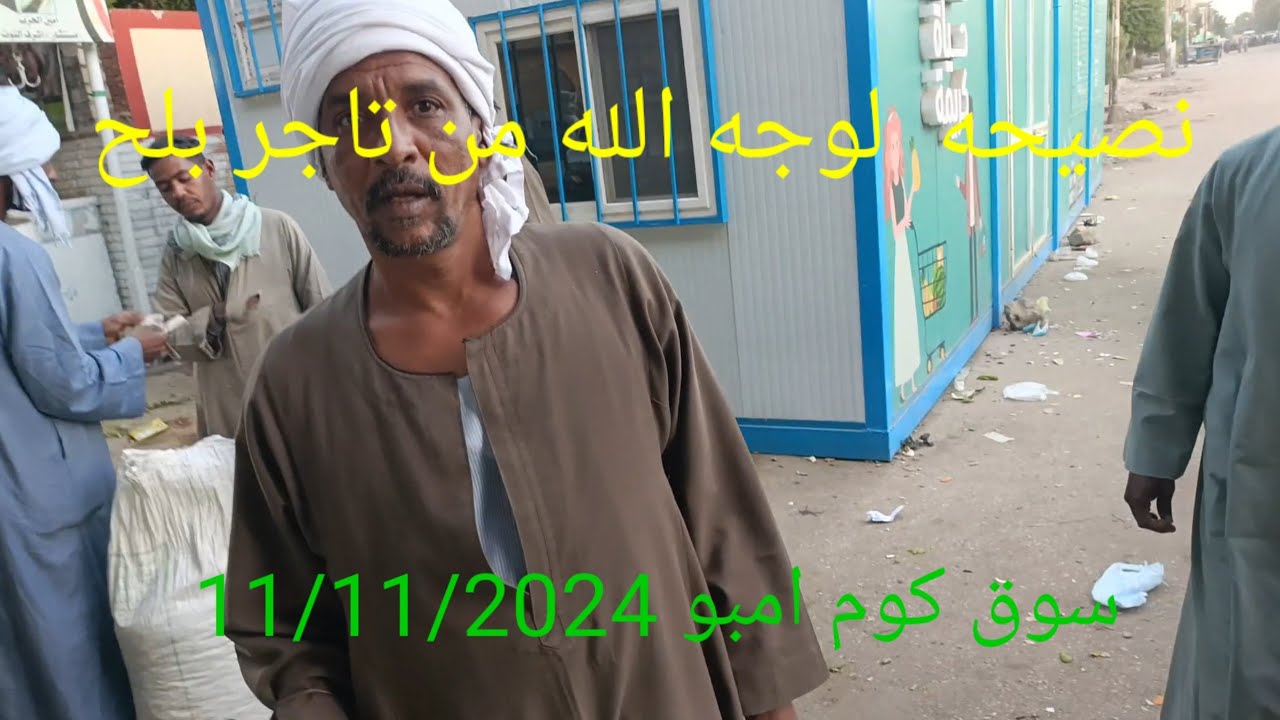 اسعار البلح من سوق كوم امبو  محافظة اسوان ١١ نوفمبر ٢٠٢٤