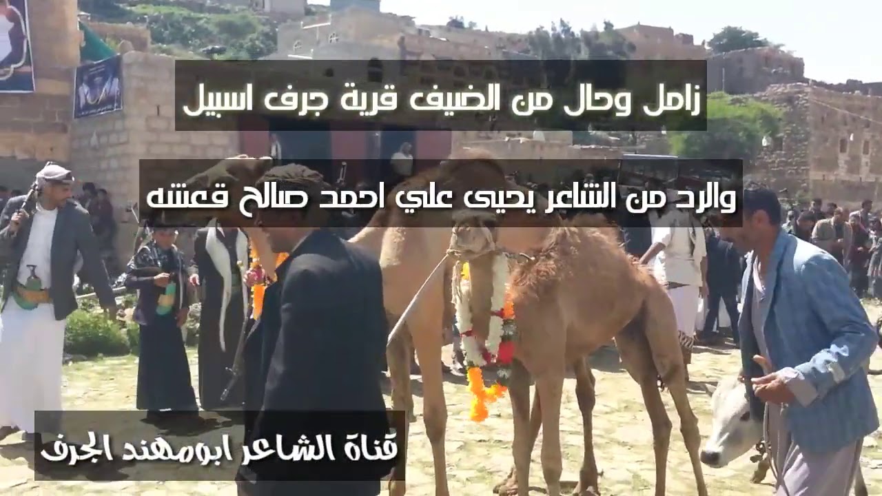 #زامل وحال من قرية جرف اسبيل عند وصولهم قريةالسدين اضرعه عرس عارف جياش والرد من الشاعر يحيى علي احمد