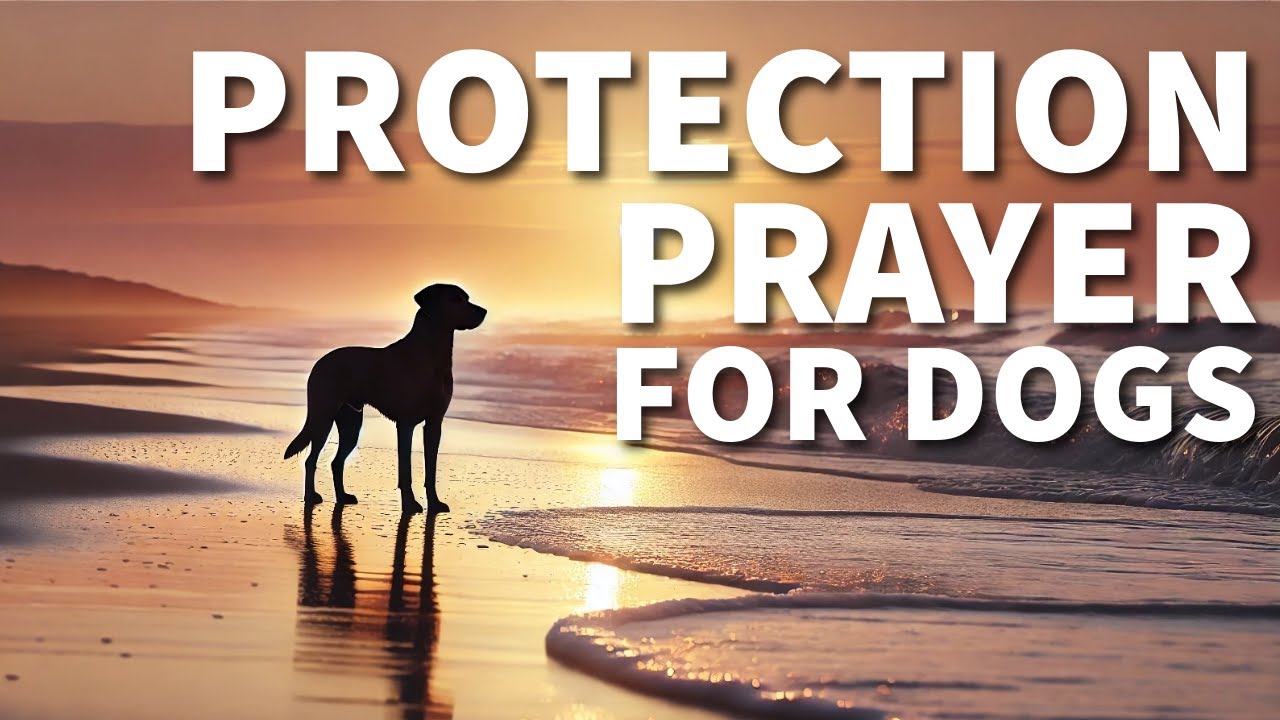 A Prayer for the Protection of Dogs and Puppies